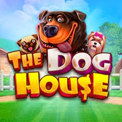 The dog house
